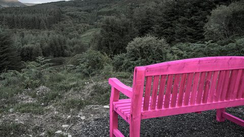 Bench_PINK_lord2_4800x960