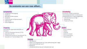 PinkPotential Programma